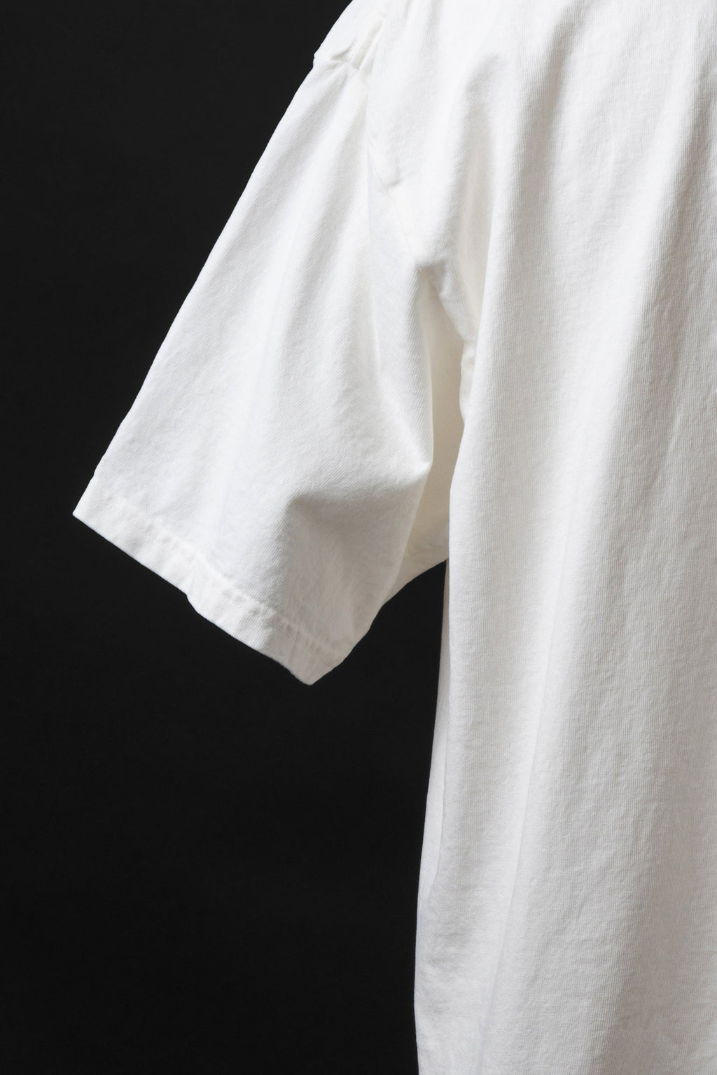 MTE015 (69) 丸胴 Tee BEAVER