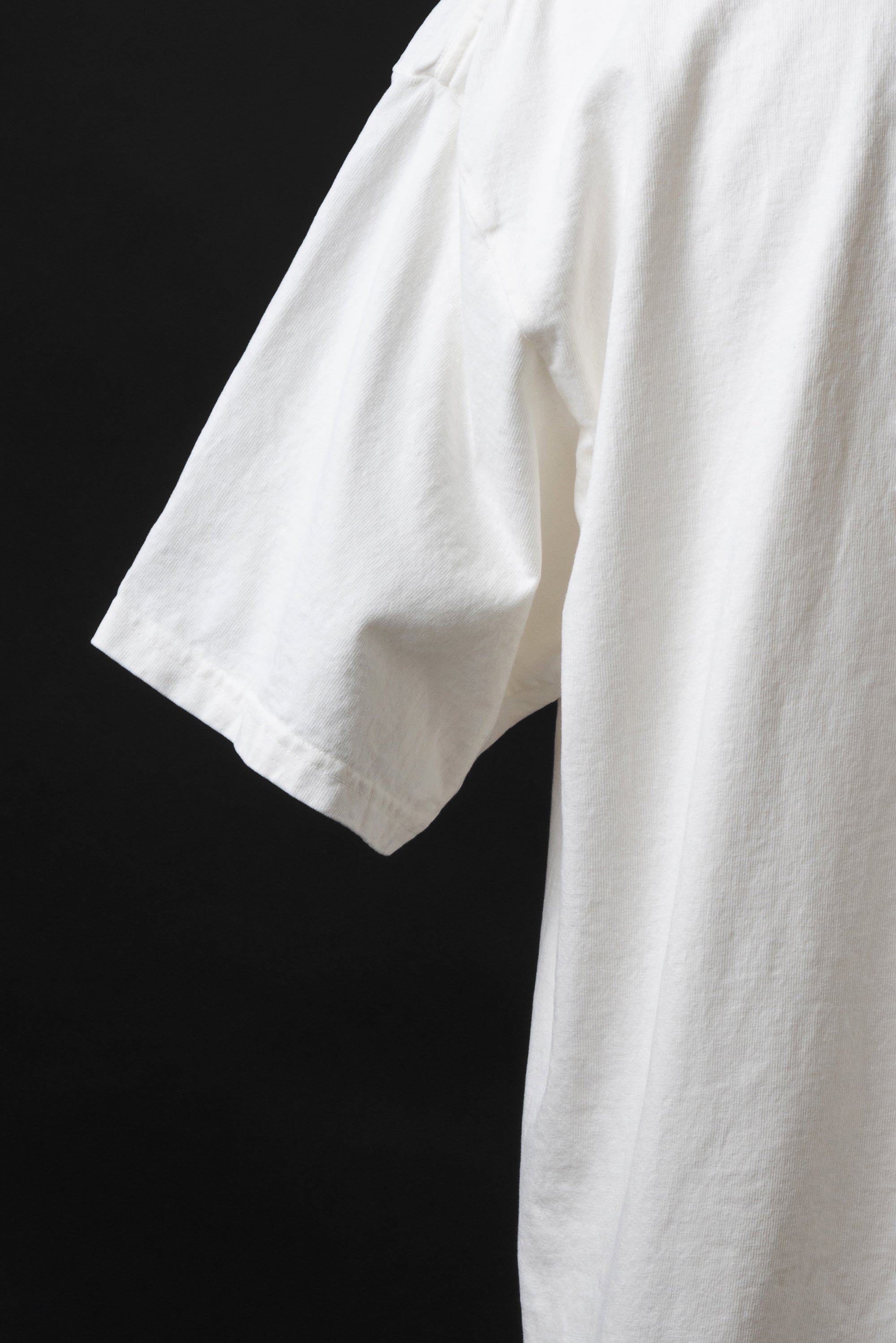 MTE015 (69) 丸胴 Tee BEAVER